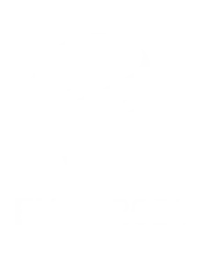 UEFA Euro 2024 Germany logo – national team matches live on ZERO IPTV