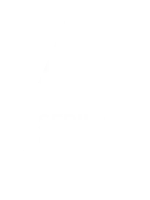 Internationale Liga
