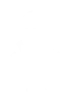 Motorsport